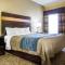 Comfort Inn & Suites at Stone Mountain