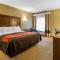 Comfort Inn & Suites Dalton West