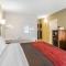 Comfort Inn & Suites Dalton West