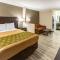 Econo Lodge Inn & Suites - Newton