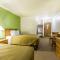 Econo Lodge Inn & Suites