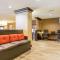 Comfort Suites - Fairview Heights