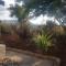 Above the River Karapiro Bed & Breakfast - Karapiro