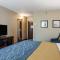 Comfort Inn Edwardsville - St Louis - Edwardsville