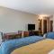 Comfort Inn Edwardsville - St Louis