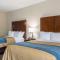 Comfort Inn Edwardsville - St Louis