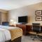 Comfort Inn & Suites Sturbridge-Brimfield - Sturbridge