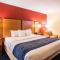 Comfort Inn Washington DC Joint Andrews AFB - كلينتون