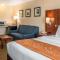 Comfort Suites - Wixom