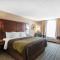 Comfort Inn Bay City - Riverfront