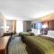 Comfort Inn Bay City - Riverfront - Bay City