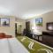 Quality Inn & Suites Holland