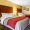 Comfort Inn Owatonna near Medical Center