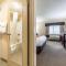 Comfort Inn Festus-St Louis South