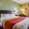 Quality Inn Belton - Kansas City South - Belton