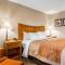 Comfort Inn South - Springfield - Springfield