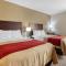 Comfort Inn Horn Lake - Southhaven