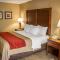 Comfort Inn Research Triangle Park - Durham