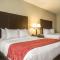Comfort Suites Huntersville near Lake Norman