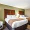 Comfort Inn & Suites Kannapolis - Concord