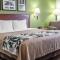Sleep Inn & Suites Conference Center and Water Park