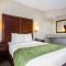 Comfort Suites at Woodbridge - Avenel