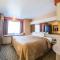 Quality Inn & Suites Elko