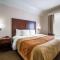 Comfort Inn Elko