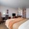 Comfort Inn Elko