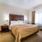 Comfort Inn Elko