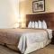 Quality Inn Buffalo Airport - Cheektowaga