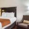 Comfort Inn & Suites LaGuardia Airport