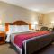 Comfort Inn & Suites Hawthorne