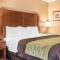 Comfort Inn & Suites Piqua-Near Troy-I75