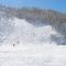 Cervinia Ski In Ski Out - Studio on the slopes