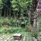 Foto: Phori's House - Bamboo Forest 17/67