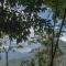Tree Houses by Jungle River