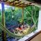 Conjunto Sol Roots - Pipa