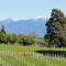 Pine Hill Lodge In Vineyard