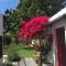Acorn Cottage Hermanus