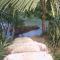 Cohune Palms River Cabanas - Bullet Tree Falls