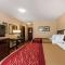 Comfort Inn & Suites Jasper Hwy 78 West