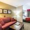 Comfort Suites Bentonville - Rogers - Bentonville