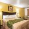 Econo Lodge Inn & Suites Searcy - Searcy