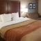 Comfort Inn I-10 West at 51st Ave