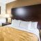 Quality Inn near Six Flags Discovery Kingdom-Napa Valley - Vallejo