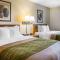 Quality Inn Lone Pine near Mount Whitney