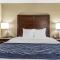 Comfort Inn Sunnyvale – Silicon Valley