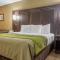 Comfort Inn St. Catharines Niagara - St. Catharines