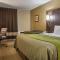 Comfort Inn St. Catharines Niagara - St. Catharines